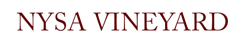 Nysa Vineyard Logo (Link to homepage)