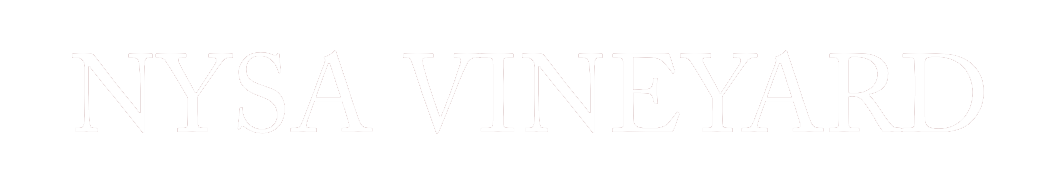 Nysa Vineyard Scrolled light version of the logo (Link to homepage)